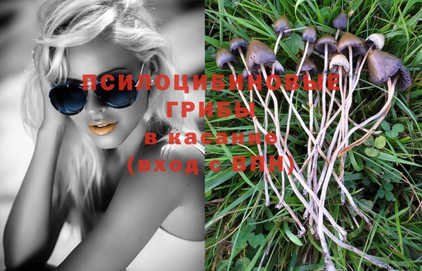PSILOCYBIN Алзамай