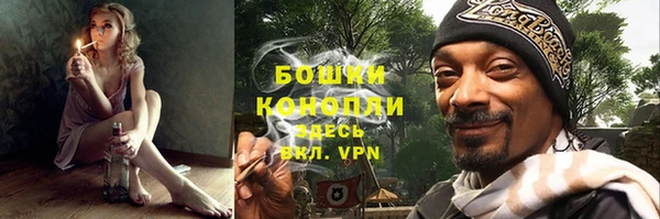PSILOCYBIN Алзамай