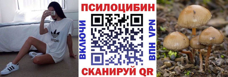 наркошоп  OMG ONION  Псилоцибиновые грибы прущие грибы  Саки 